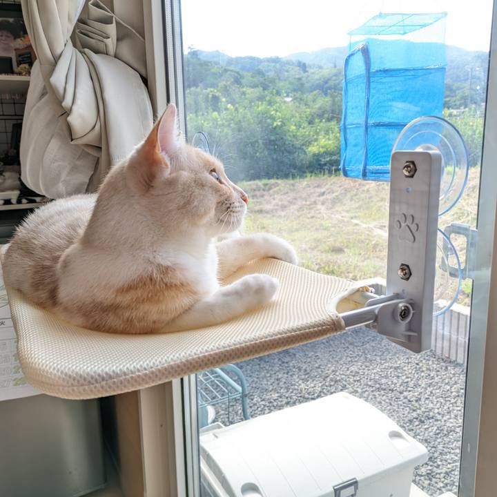 7598c3dd 7f9d 465d 9392 aac8286ff731 1686091277869