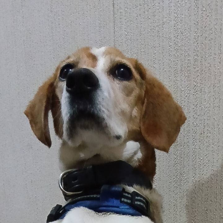 7598ca7a c295 468c b2f7 0029462e31fb 1745826578781