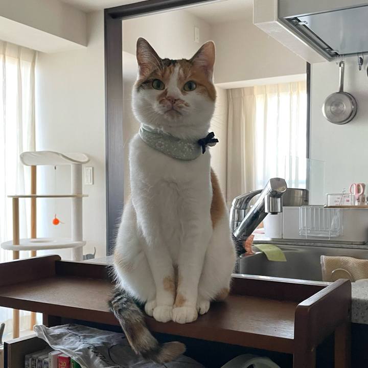 7598e5dd fcbc 47eb b32f b9a7b44c03b9 1669073492548