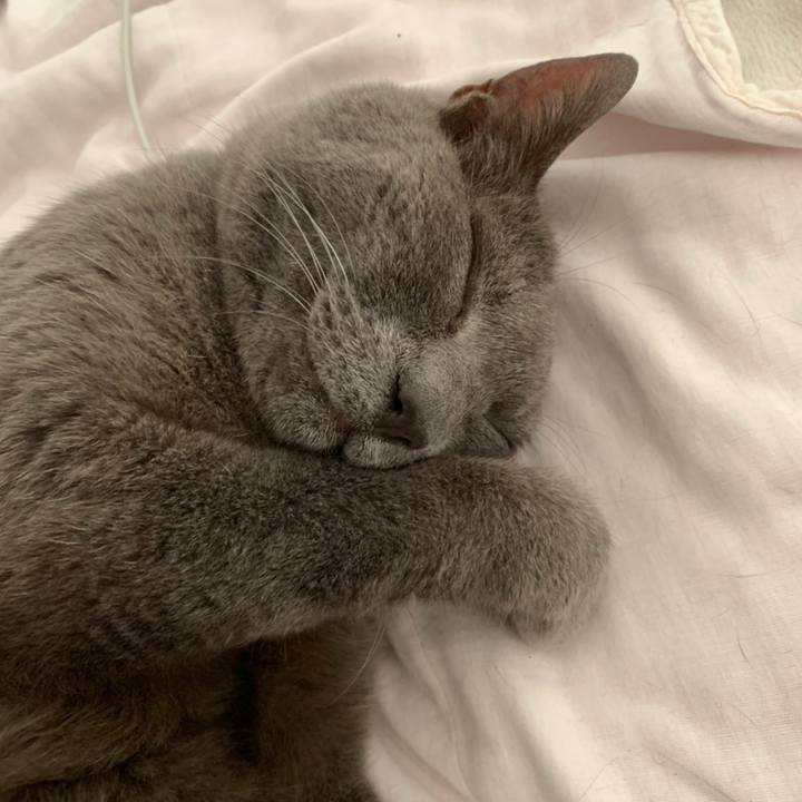 7598ea28 f5b0 4775 854c 5b3ba7ba2690 1624095750578