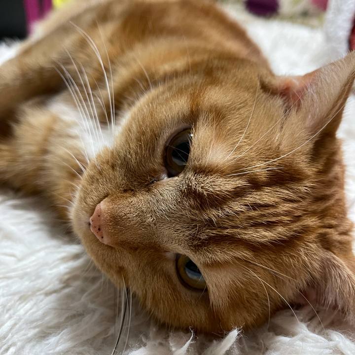 75990fb4 0dcb 486b bf41 658c3ca7b718 1641987778874