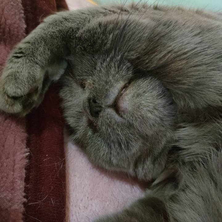 759917b8 fe1e 4d6d 866a ccdb7cdd452e 1739797905722