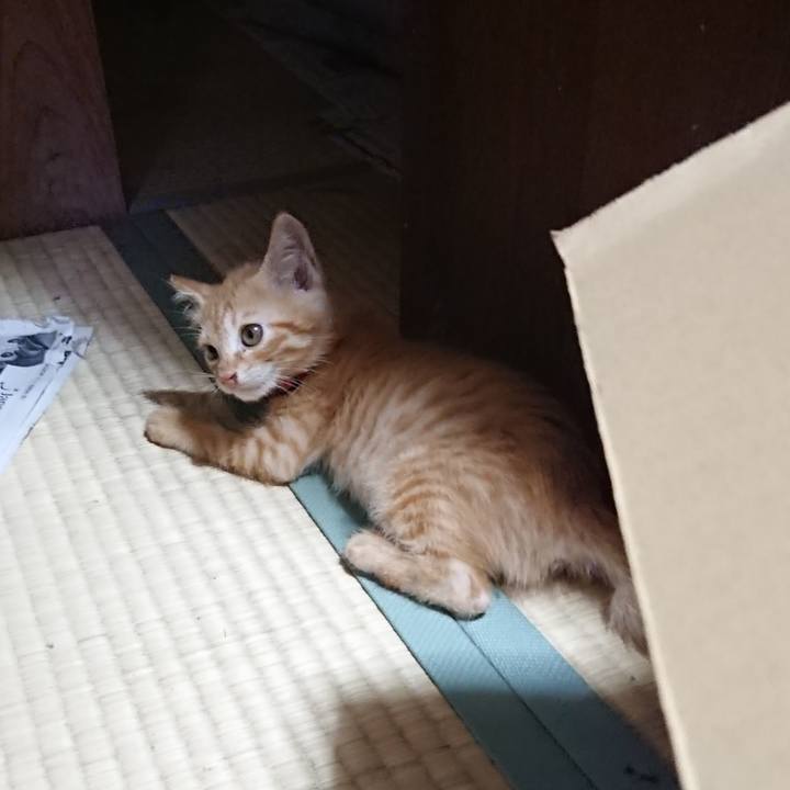 75991eca 0ebb 4e9b a252 80a81a52fe7e 1628070009961