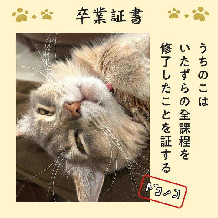 75993a5e bf78 43e9 9160 63f747ff2672 1772168372805