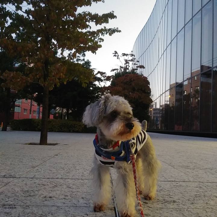 759952c8 1b1c 4548 ac41 6c885016771c 1664223645027