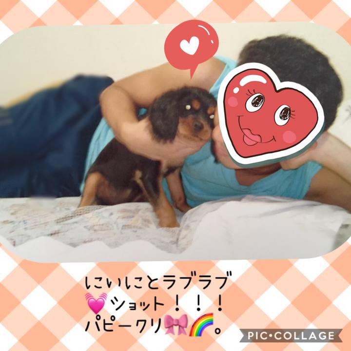 75996a47 905b 463b 944e e606bc6f93f9 1545482642707