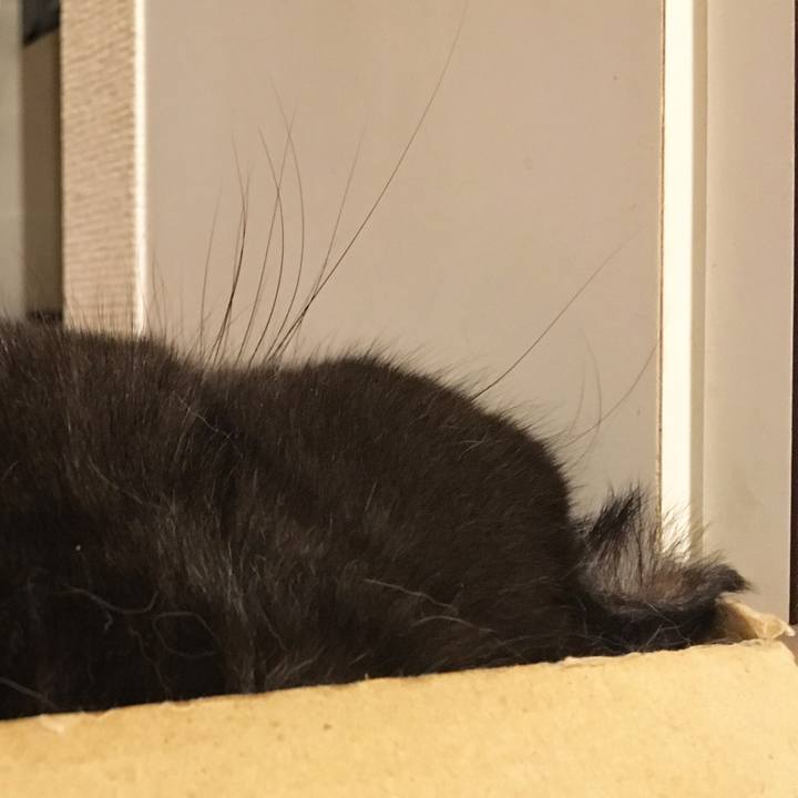 7599885d 4336 4add 9445 289c0df7c96b 1530805527486