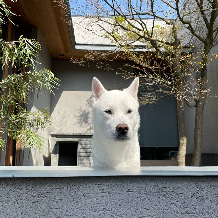 75999729 dccd 4791 81b3 7970722101d9 1616150812219