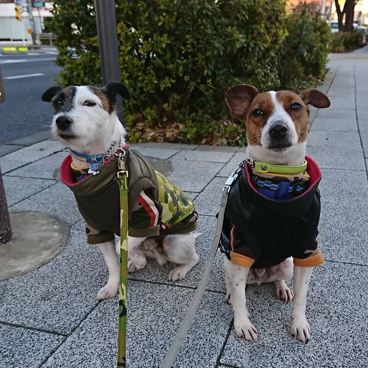 7599a3c6 41ca 4473 977e 5d4836881f96 1549064494581