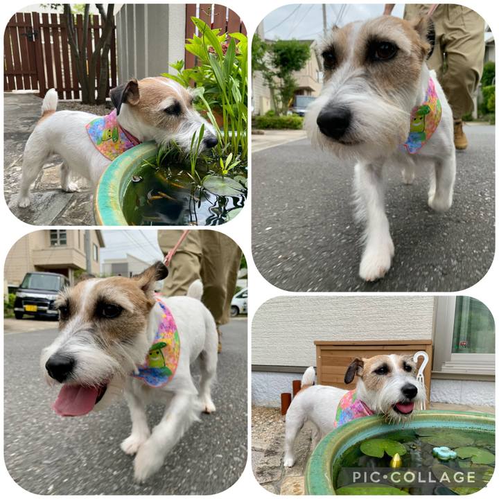 7599bc08 695c 4959 84be 2ed139ac6f94 1655172380920