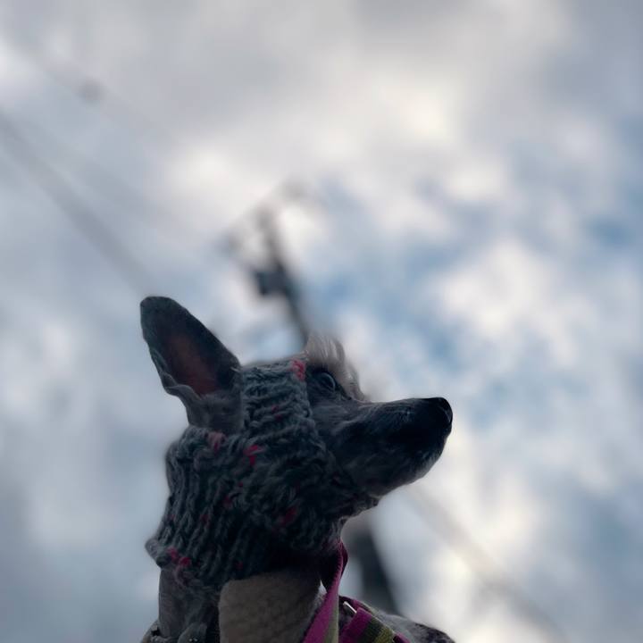 7599c18a 5ab9 46e6 af49 587a99827e62 1763368642064