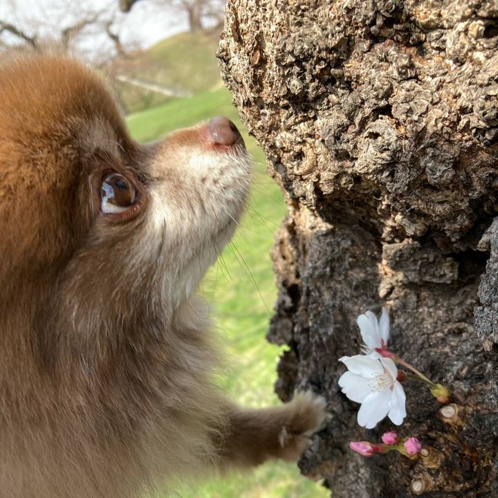 7599de85 c3bf 4c3b a8f0 d4e0fb595635 1650241720918