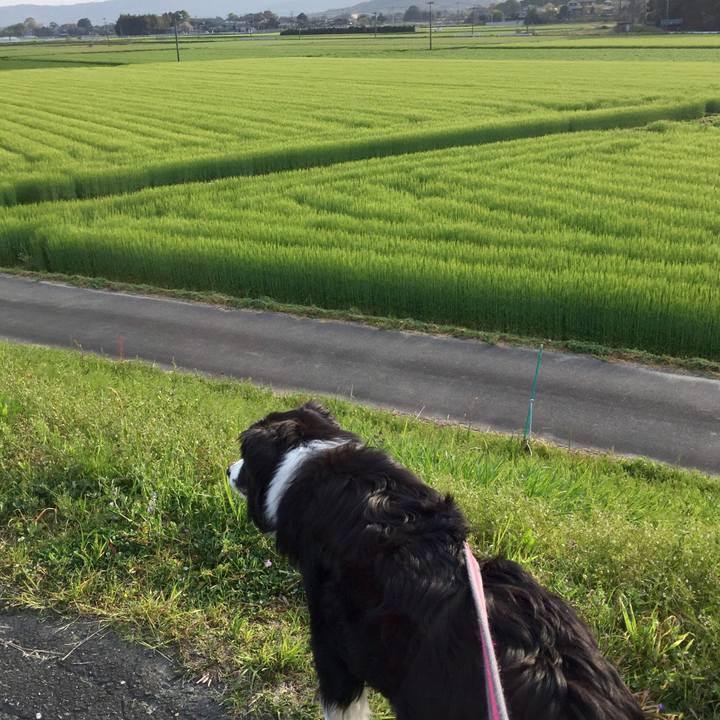 759a42e7 e914 42b9 8c4b 08d605e1a6ed 1554766928992