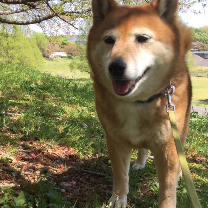 759a5c64 a3aa 4486 8079 133e5da5017f 1617948916425