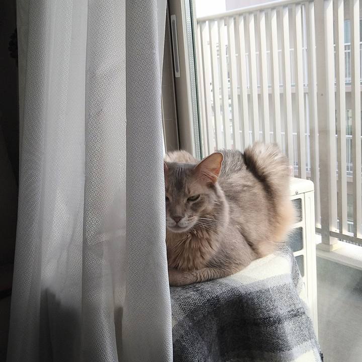 759a5e33 b4f3 4d5b 9833 4c59f24ca783 1617708966889