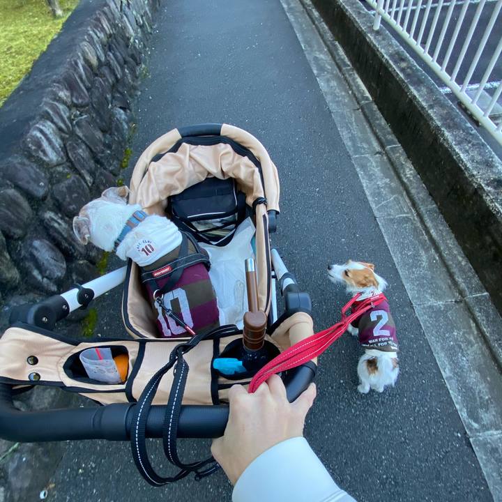 759acdfa b1a5 4554 a644 6f28c888e36c 1635903154081