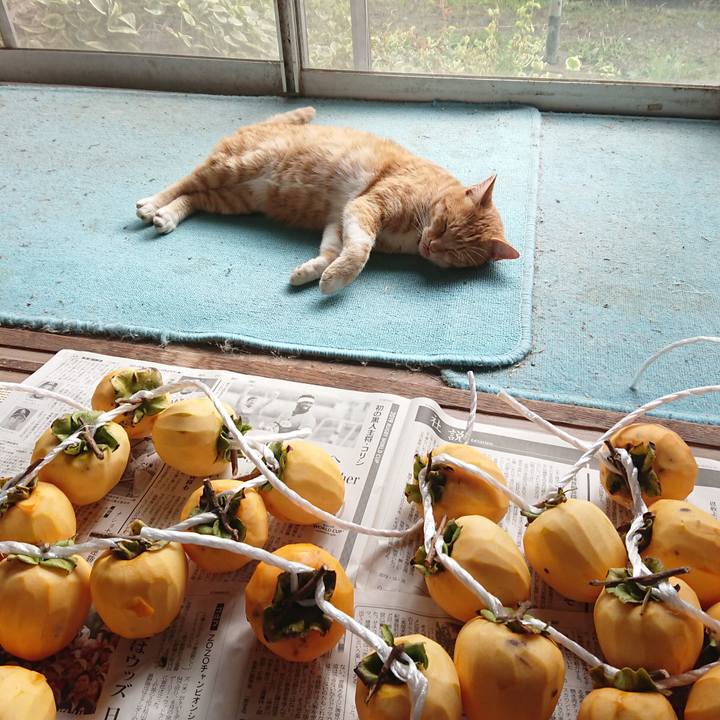 759af29d 4f06 4d3b 8d6a d29f04809f90 1572146885449