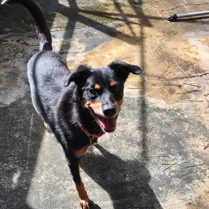 759b4b56 4423 4656 bb45 c1fdf300600e 1536572114071