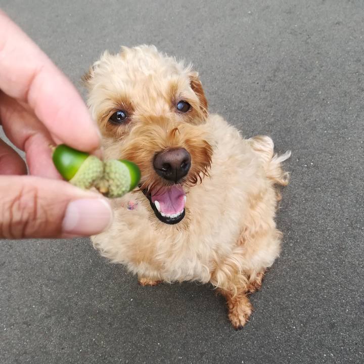 759b5043 bbf5 4ef3 aaef a2467e74c667 1566697022380