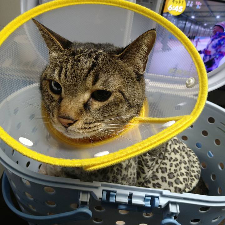 759b99bc 70a2 4a4a 8569 79490b0c2814 1733825578365