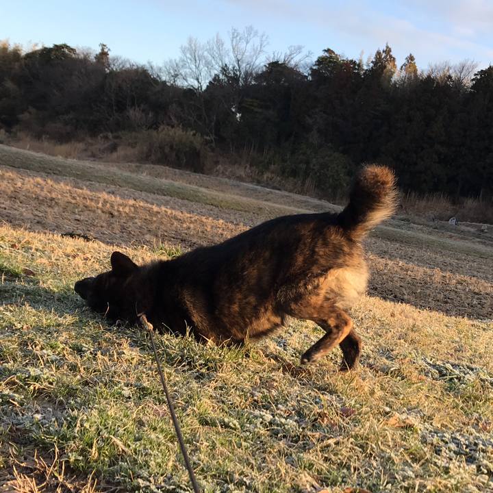 759bc109 c059 4255 9ad5 19b3962bc13e 1520376885558