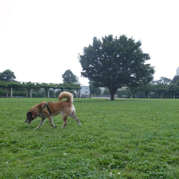 759c123d 3060 4e73 ac11 8875064bdc86 1587947371986