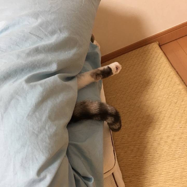 759c5f58 ef14 4f5c 8a4b 6d425cddd183 1579336377863