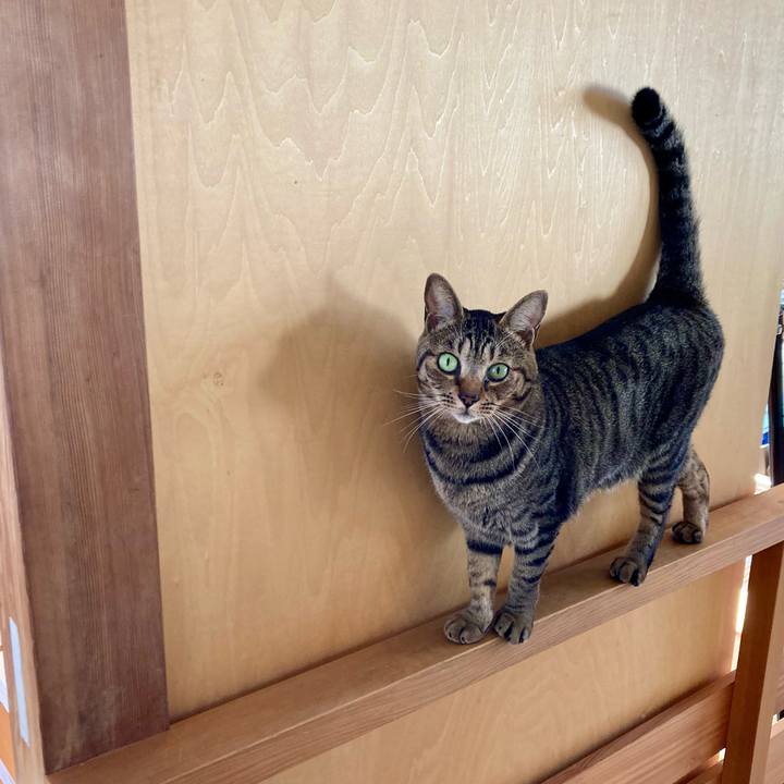 759ca987 bb88 40d6 a59f 735b17588476 1712790413329