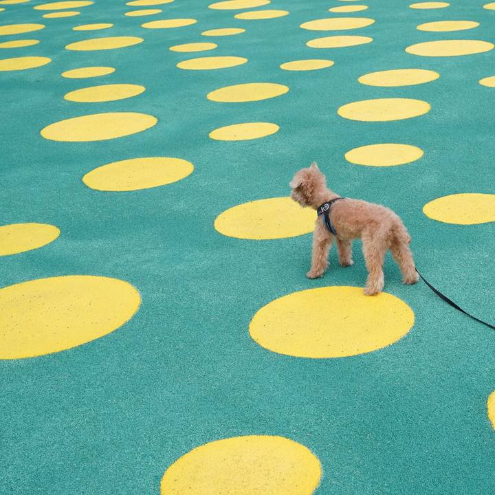 759cd454 d121 4080 8ef9 b4843f062ee1 1697255960864