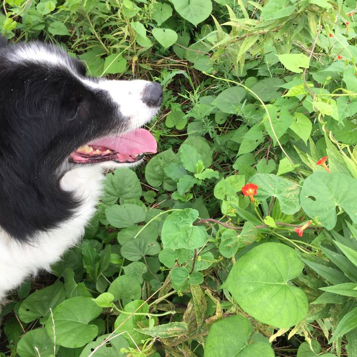 759d093d 6a02 43ff 8336 421926296032 1566610222387