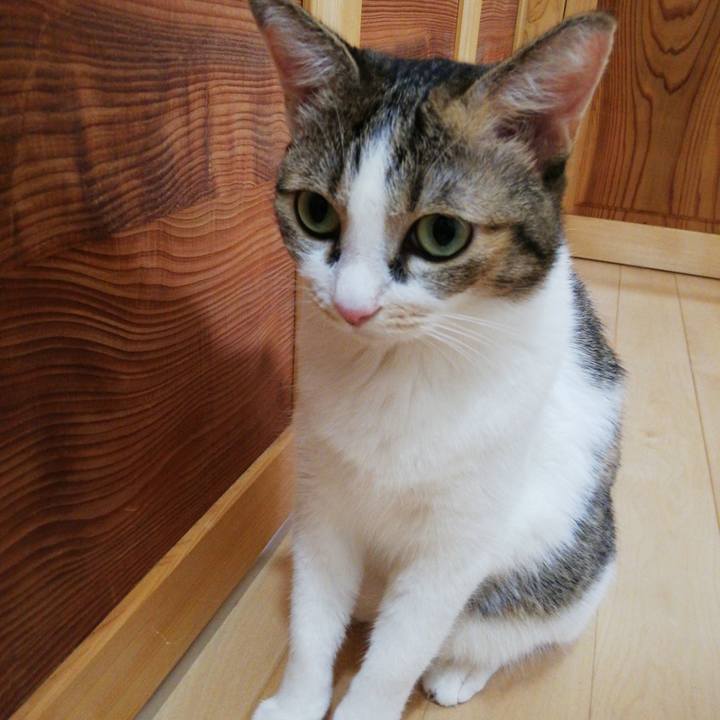 759d5687 8e6e 4a0b bd2d b59282fd86b7 1599030604851