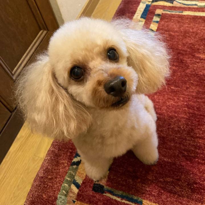 759dc269 c571 4663 829a 38ac8bcf090b 1655368451521