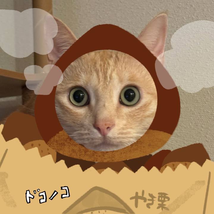 759e1419 5f78 4082 9b0e d684d0e13cf9 1791285046849