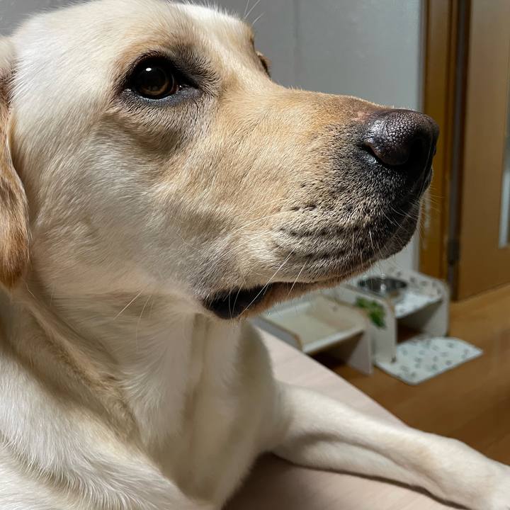 759e149f 214b 4cab be1e ac3b9514971b 1658189586730