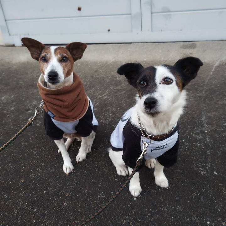 759e34c5 f3a3 44e3 88cf 302d0406c95a 1768515702380