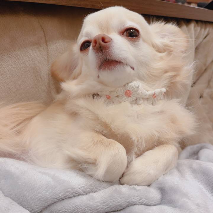 759e6191 9190 4a0e 9c9f 29bf7a324efb 1772795788031