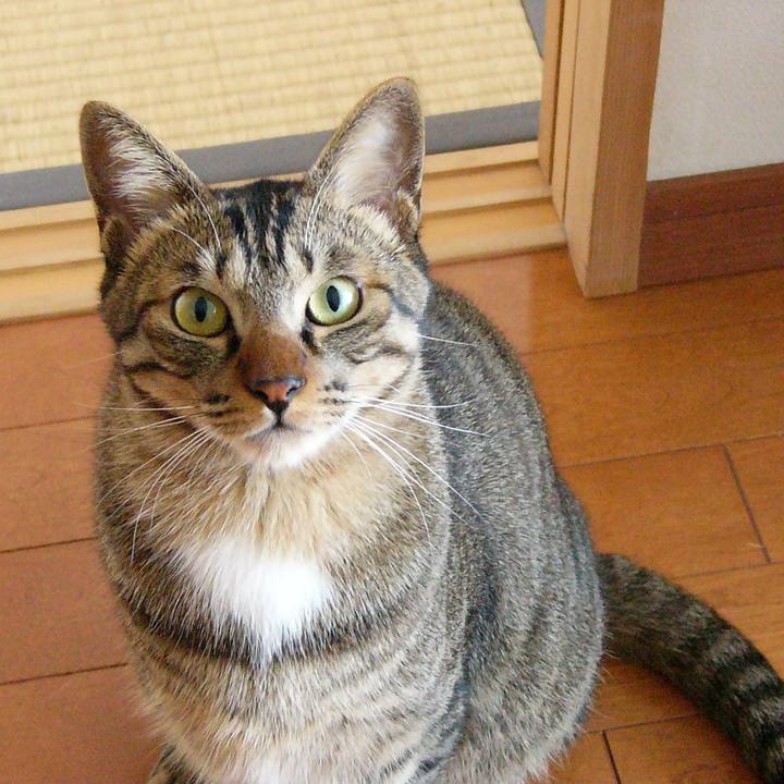 759e7495 d880 44ed bb55 2fb73bef5ed0 1643012668627