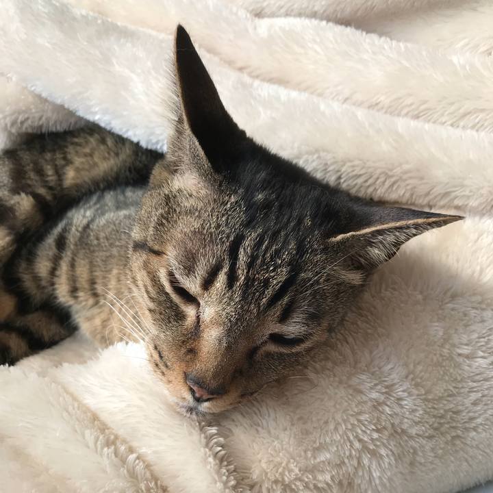 759ec13d 4356 4587 87dd d7788a5ec2c1 1523582846148