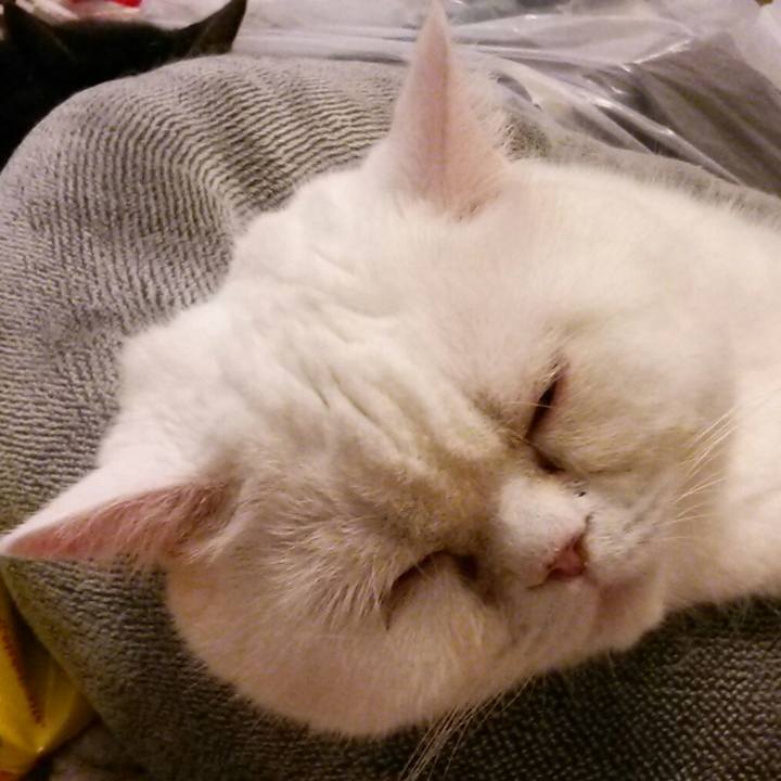 759ed574 b3de 432f 9d8f d4ed594de0c3 1585475169715