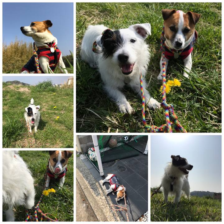 759eedec aa13 4396 9c0f fa7d8a205488 1522803520721