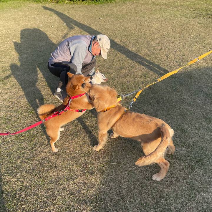 759ef792 d7c3 47bc 817b 1650f4cc6e22 1679223761431