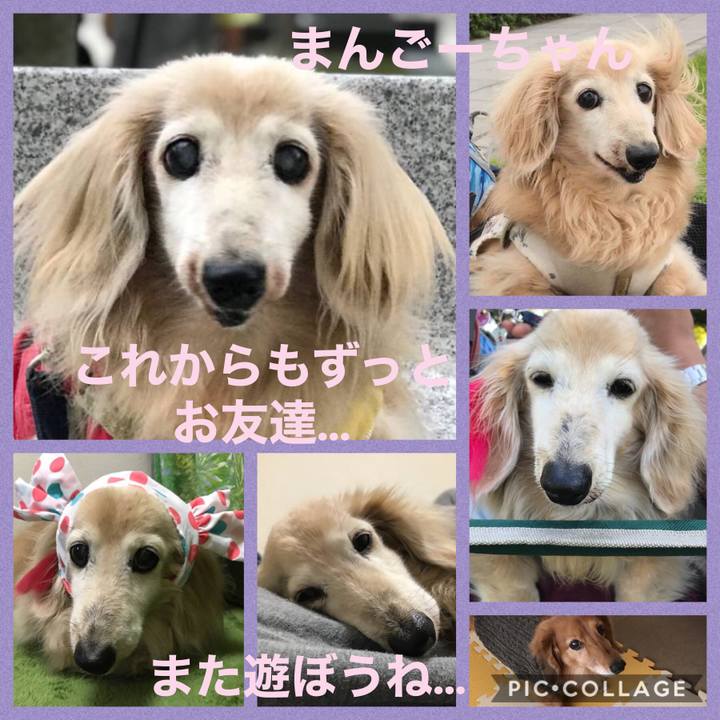 759f046f 06fc 4e64 9d40 30089b891b8c 1612332334378