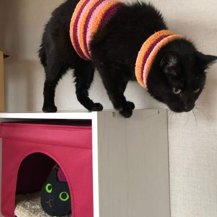 759f2a75 a01b 42bd bada 2a86e4803687 1588578476733