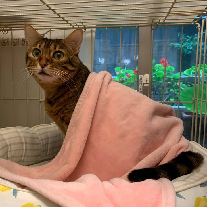 759f6257 18ec 48fe bfb2 8e3e5d4a32cb 1630798540034