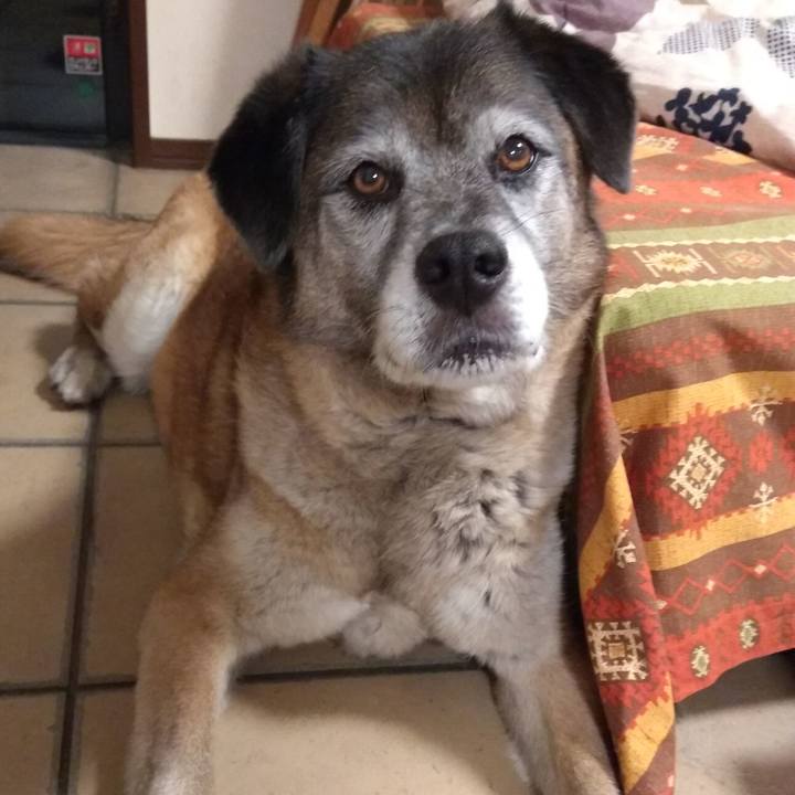 759fd119 79e6 4141 b868 b1c2ebaecc11 1558955748346