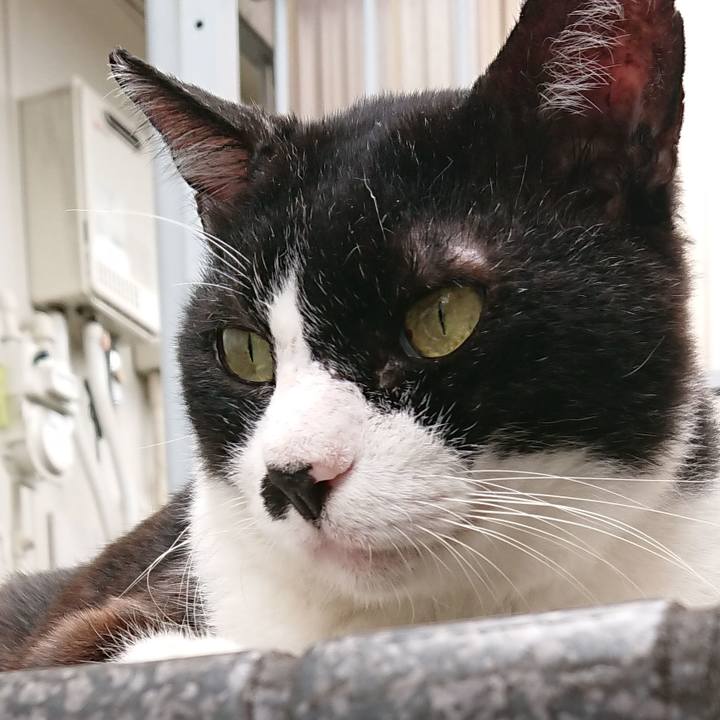 759fe58a 2ecd 43f9 a58c 742a61dcc135 1568432688215