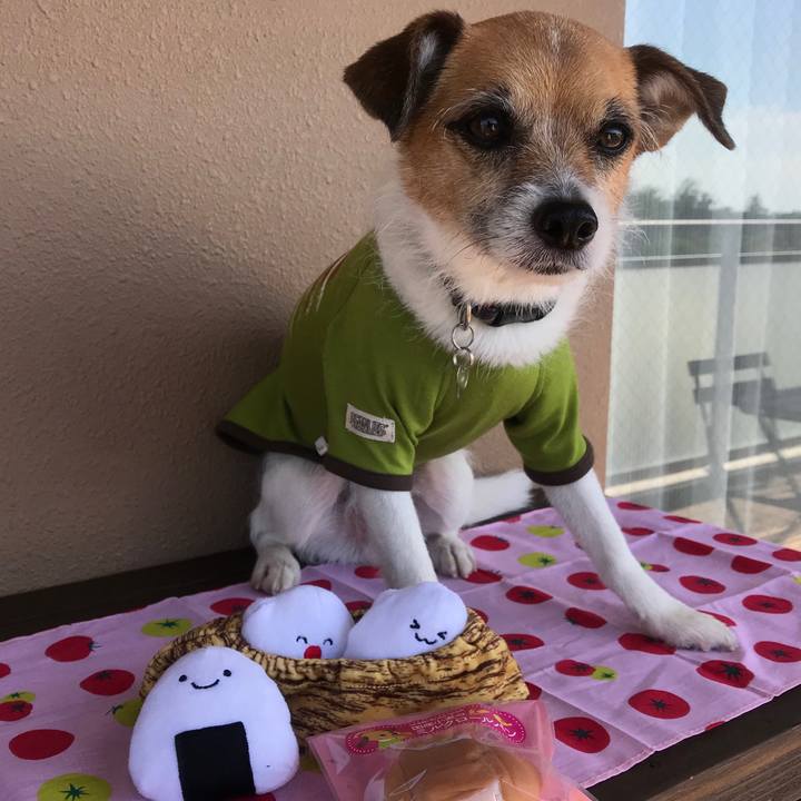 75a007fd 0c90 413c a3cb 0bf3967d1254 1525414745630