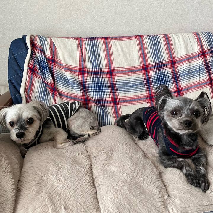 75a023f6 0c94 41dc 90b8 ad103d5bb836 1771297373773