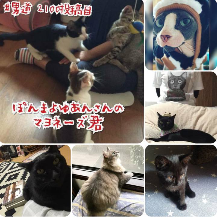 75a0414d 55d9 4c11 a3a6 88a9c2830bc2 1566465633413