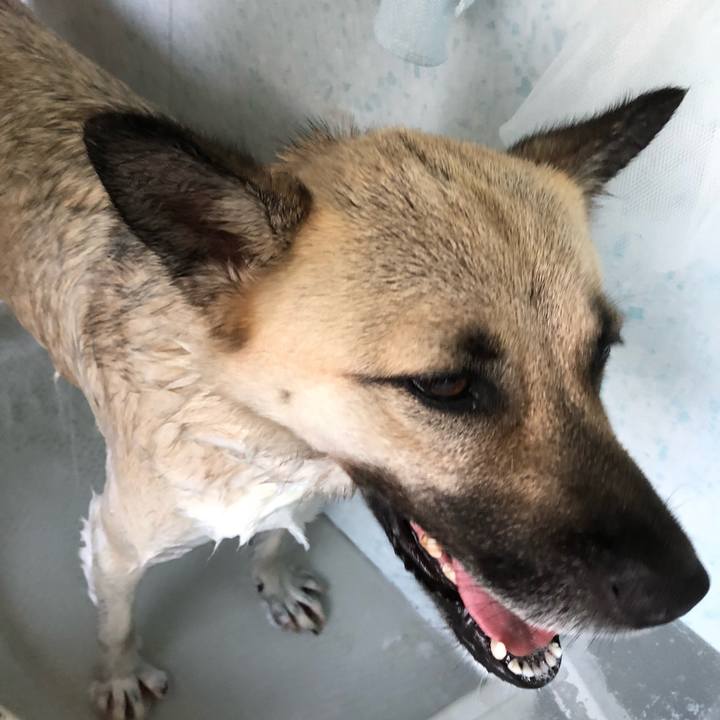 75a07bca 4381 4154 869a b2956ef3a663 1533374816048